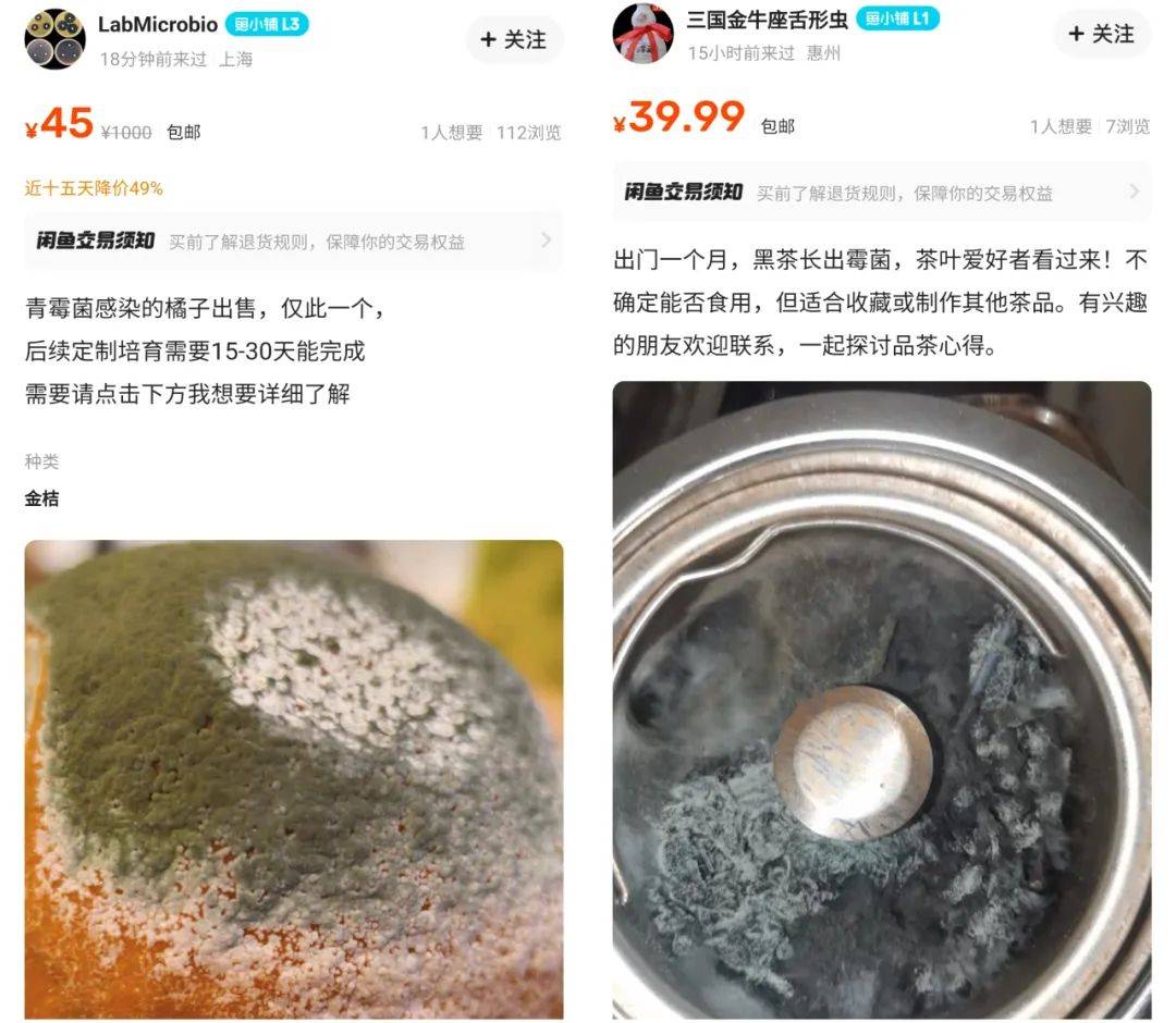 才能看见没法运营出来的神奇九游会·j9网站在闲鱼上你(图3)