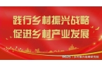 提升乡村振兴战略效果的实践路径与案例研究